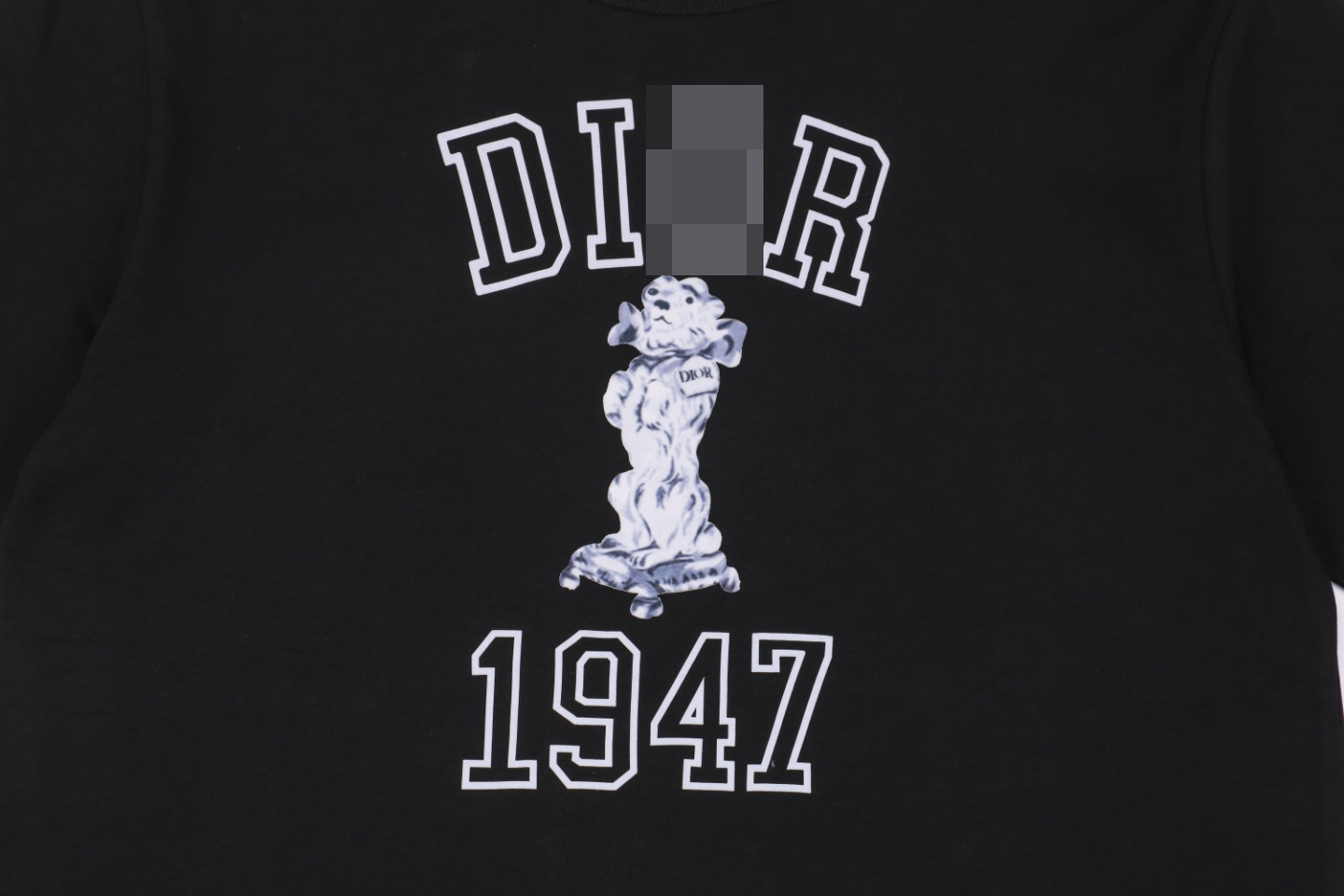 e889d1bc36a853a6cdc2d1dfee5aa8ae_1722048481_3343.jpg